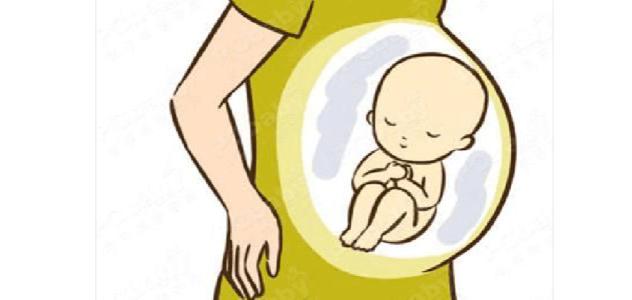 孕期5个月做胎儿亲子鉴定有影响吗？