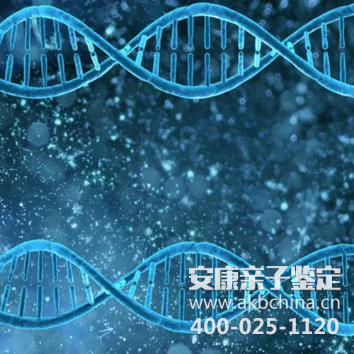 亲子鉴定机构一般多久出结果呢?准确吗?