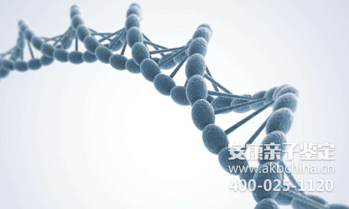 孕期的亲子鉴定都需要哪些材料啊?