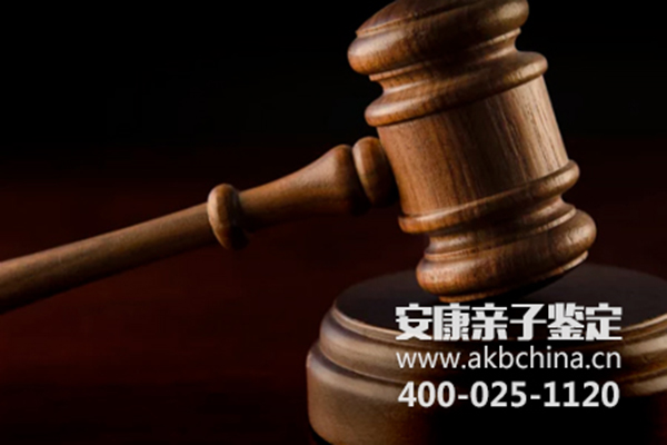 玉树亲子鉴定检测步骤