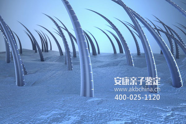 亲子鉴定师为你解答剪头发能做DNA亲子鉴定吗