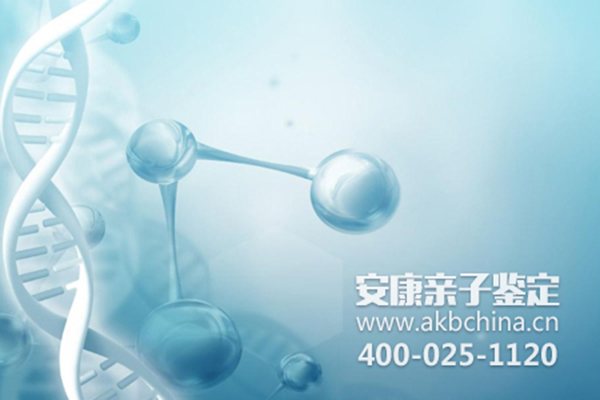 孕期胎儿亲子鉴定的费用是多少钱?