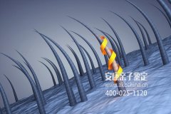 福建南平亲子鉴定费用,福建南平亲子鉴定机构多少钱做一次?