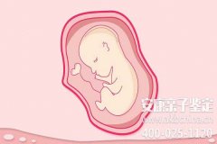福建泉州亲子鉴定哪里做的准,福建泉州亲子鉴定哪里做正规?【地址电话