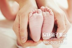 河南漯河亲子鉴定机构排名,河南漯河亲子鉴定机构哪家好?