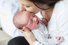 河南商丘亲子鉴定费用,河南商丘亲子鉴定机构多少钱做一次?