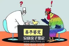 湖南郴州亲子鉴定费用,湖南郴州亲子鉴定机构多少钱做一次?
